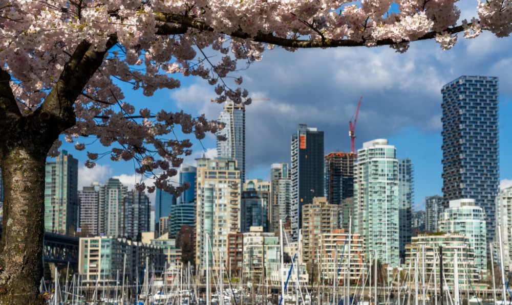 Pet and House Sitting in Vancouver