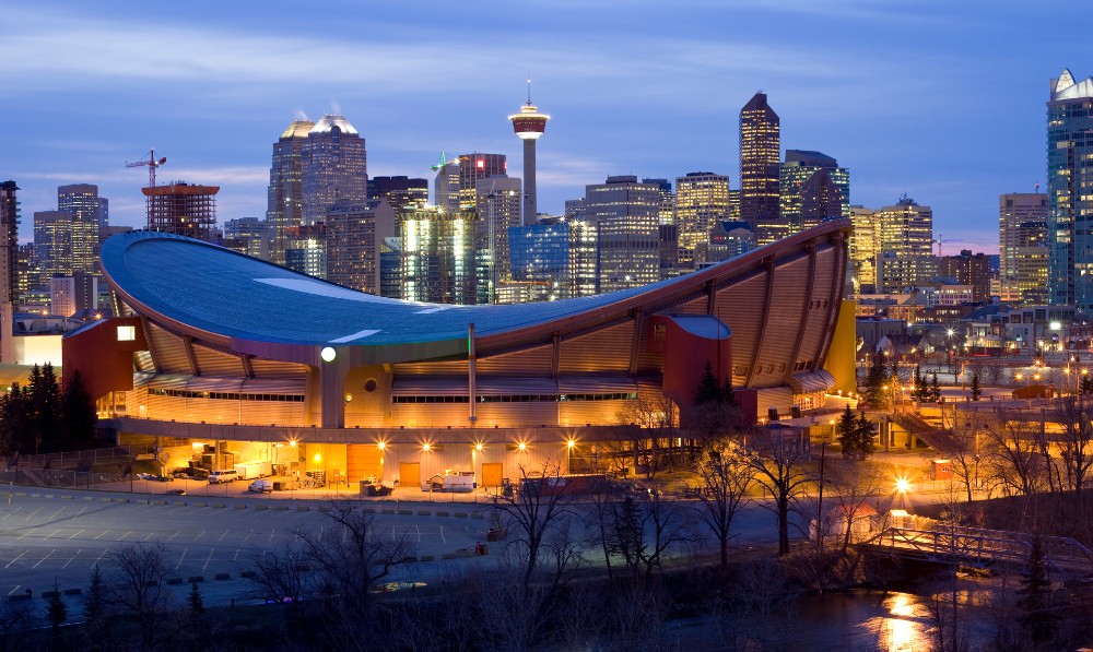 Pet and House Sitting in Calgary