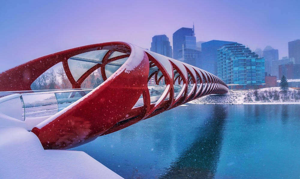 Pet Sitting and House Sitting in Calgary - City bridge in the snow