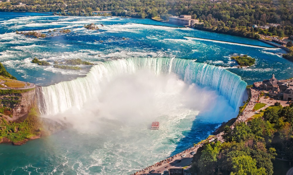 Pet and House Sitting in Canada - Niagara falls